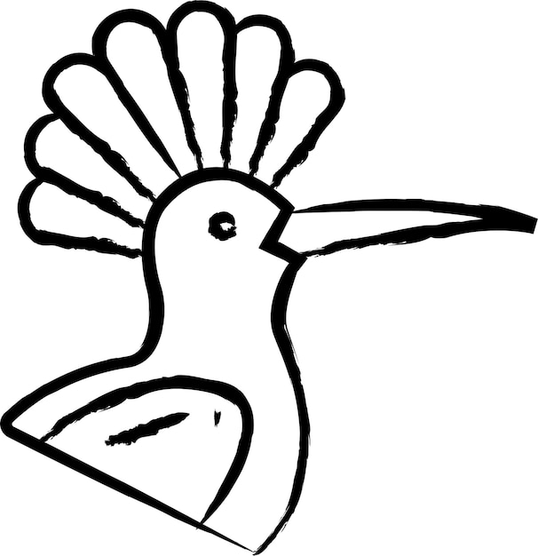 Vetor ilustração vetorial desenhada à mão de pássaro poupa