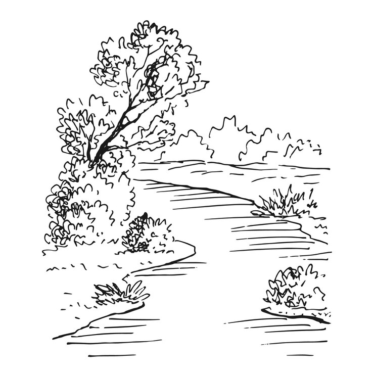 Vetor ilustração vetorial desenhada à mão do rio florestal