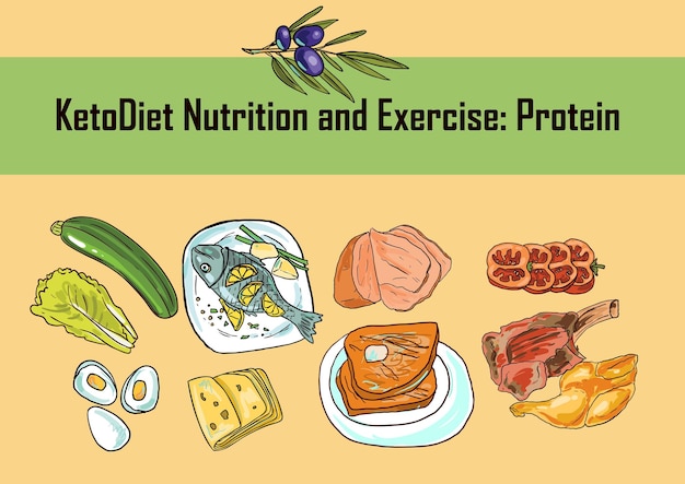 Ilustração vetorial desenhada à mão ketodiet nutrição e exercício proteína cetônica conjunto de dieta