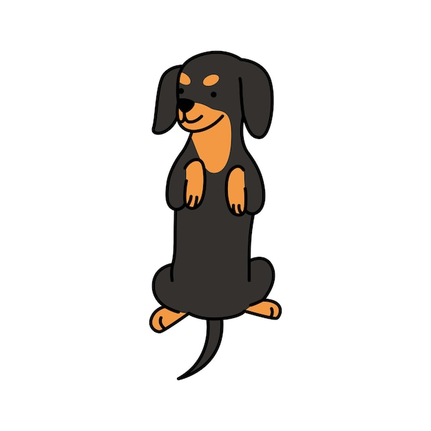 Vetor ilustração vetorial do cão dachshund