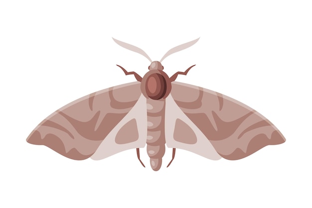 Ilustração vetorial do conceito de controle e extermínio de pragas de insetos alados de mariposa de roupa em fundo branco