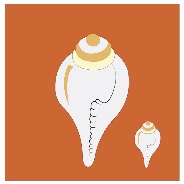 Vetor ilustração vetorial do instrumento musical conch shell blowing conch shell popular conhecido na índia