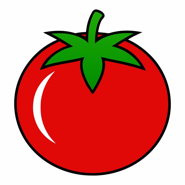 Vetor ilustração vetorial do tomate vermelho