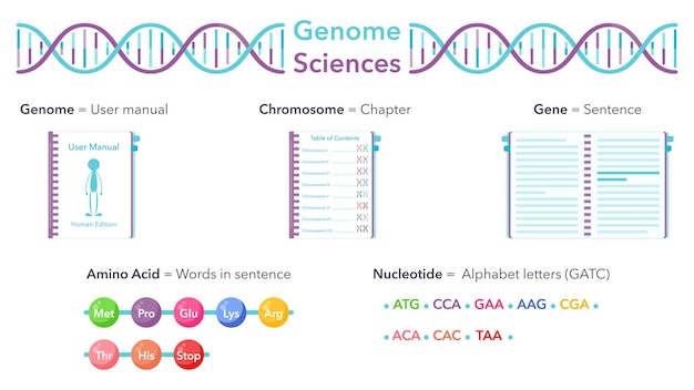 Vetor ilustração vetorial educacional de ciências do genoma analogia gráfica ao manual de usuário ou livro