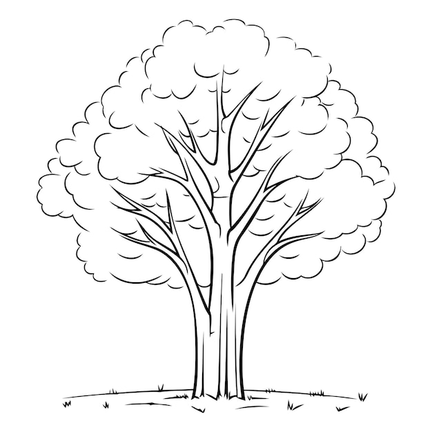 Vetor ilustração vetorial em preto e branco de uma grande árvore estilo desenho animado