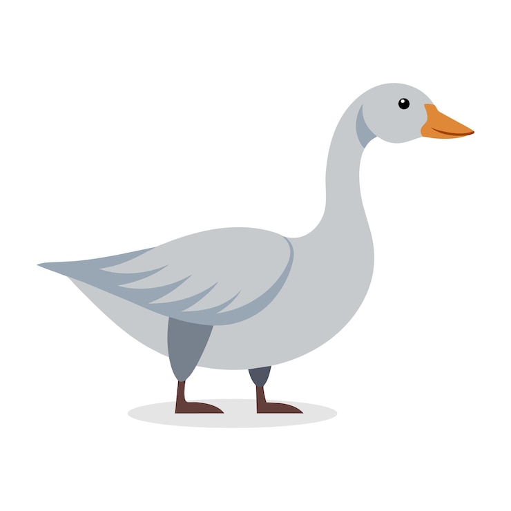 Vetor ilustração vetorial plana de animal ganso em fundo branco