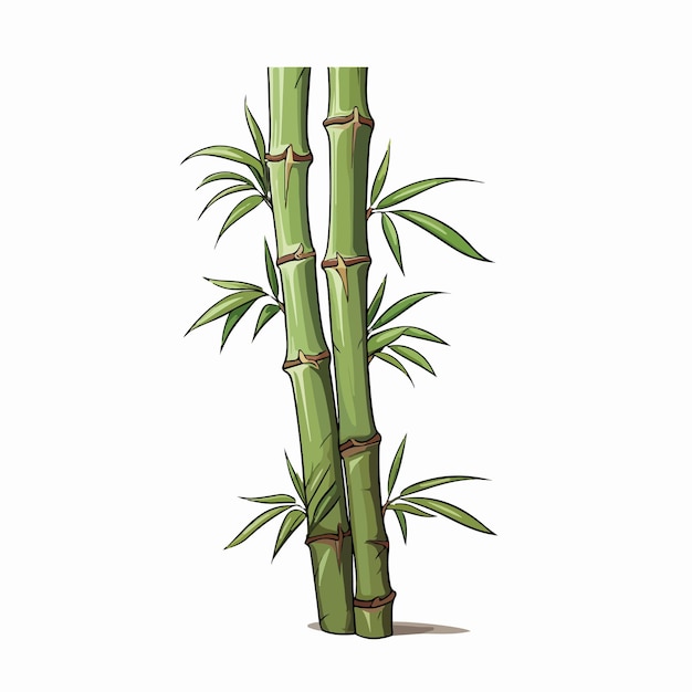 Vetor ilustração vetorial plana de bambu desenho manual de desenho animado de bambu ilustração vectorial isolada