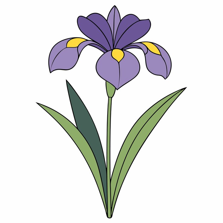 Vetor ilustração vetorial plana de flor de íris roxa com elementos amarelos brilhantes nas pétalas