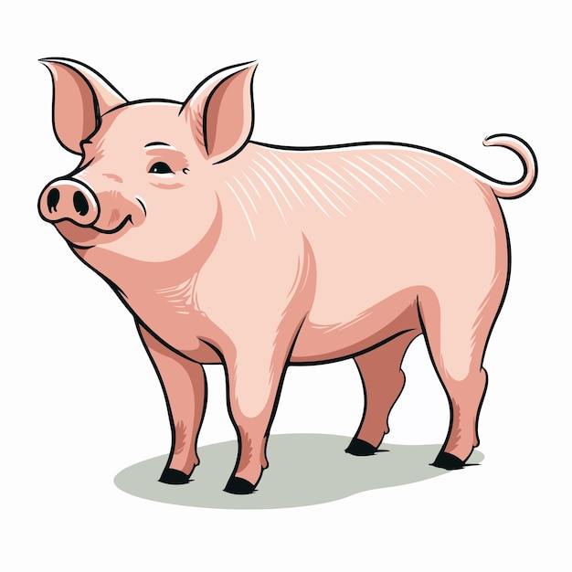 Ilustração vetorial plana de porco Desenho manual de desenho animado de porco Ilustração vectorial isolada