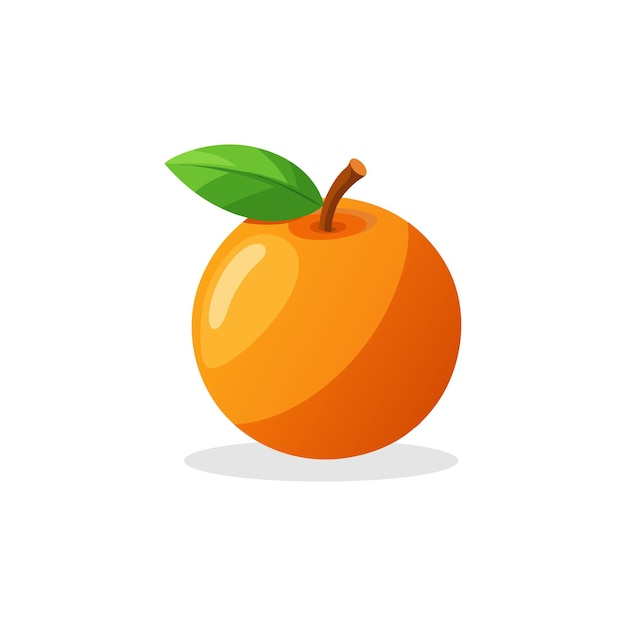 Ilustração vetorial plana isolada de frutas laranja em fundo branco