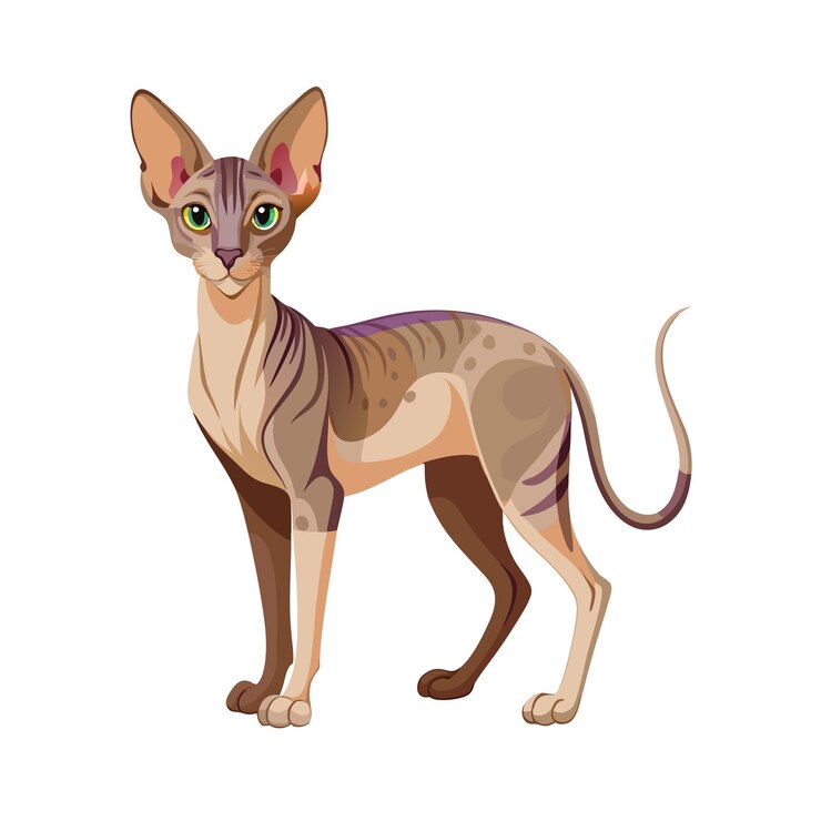 Vetor ilustração vetorial realista de um gato de estimação popular