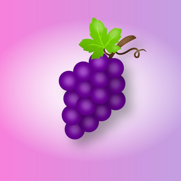 Vetor ilustração vetorial realista de uva