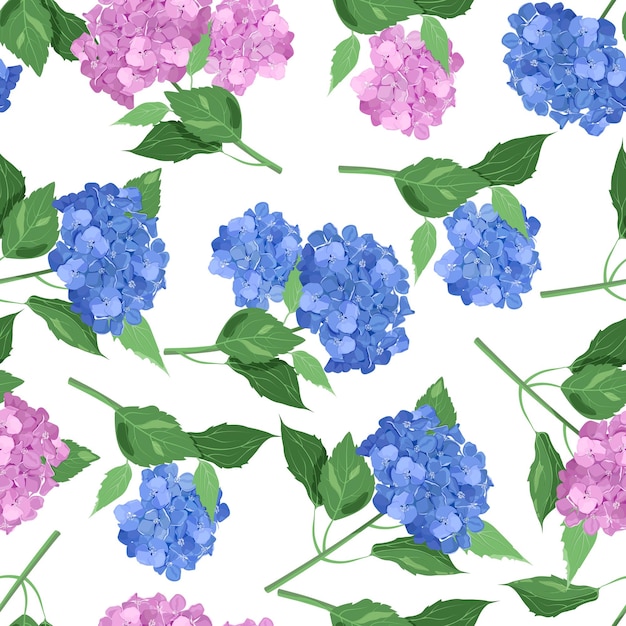 Ilustração vetorial sem costura com hortênsia azul e hortênsia rosa