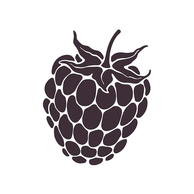 Ilustração vetorial silhueta de frutas blackberry ou framboesa com haste