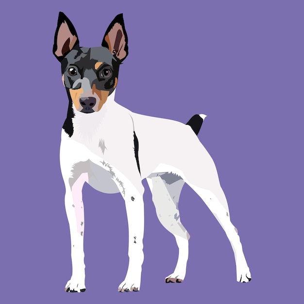 Ilustração vetorial Toy Fox Terrier Dog raça