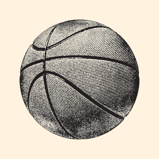 Ilustração vintage de vetor de bola de basquete de esboço realista