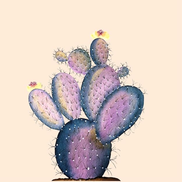 Vetor ilustracion_cactus1