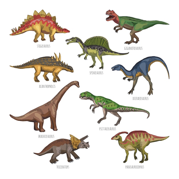 Ilustrações coloridas de diferentes tipos de dinossauros. tiranossauro, rex e estegossauro