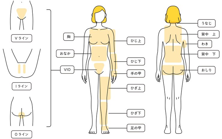 Vetor ilustrações de depilação para mulheres corpo inteiro e vio tradução vline iline oline peito barriga cotovelo cotovelo parte de trás da mão joelho joelho parte de trás da perna nuca do pescoço parte superior das costas axila parte inferior das costas quadril