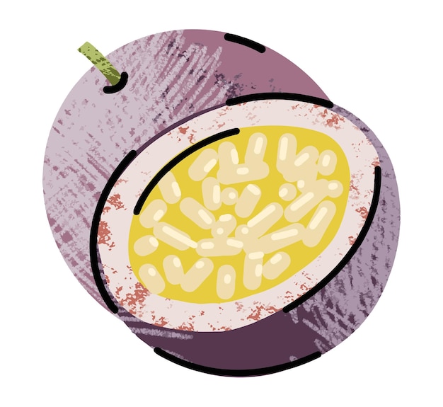Ilustrações de frutas ilustração simples em estilo de desenho de contorno plano abstrato comida saudável