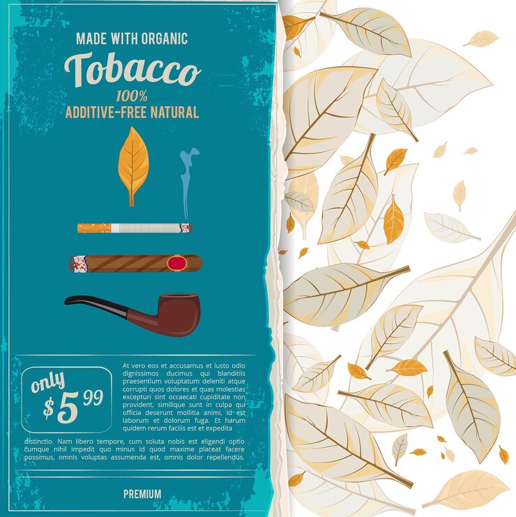 Vetor ilustrações de fundo com folhas de tabaco, cigarros e várias ferramentas para fumantes.