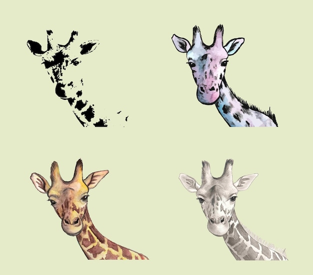 Vetor ilustrações de girafas desenhadas à mão em quatro estilos diferentes aquarela lápis desenho animado de alto contraste