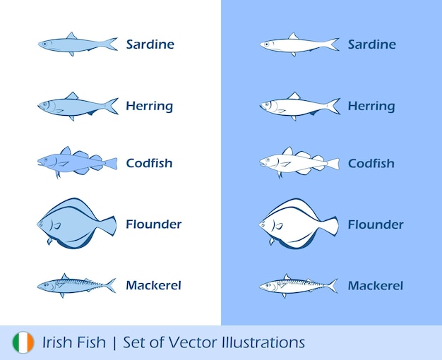 Vetor ilustrações de peixes irlandeses