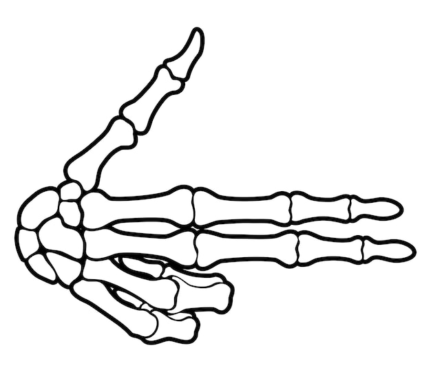 Vetor ilustrações de sinal de arma de mão de osso de esqueleto