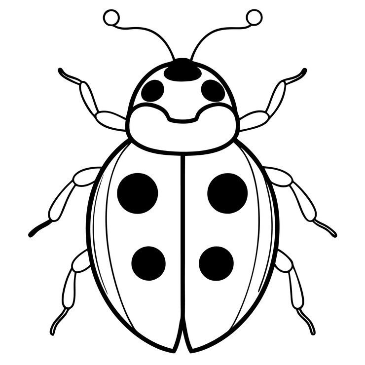 Vetor ilustrações de vetores de ladybug bonitas
