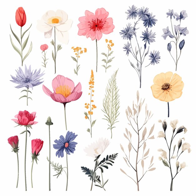 Vetor ilustrações florais