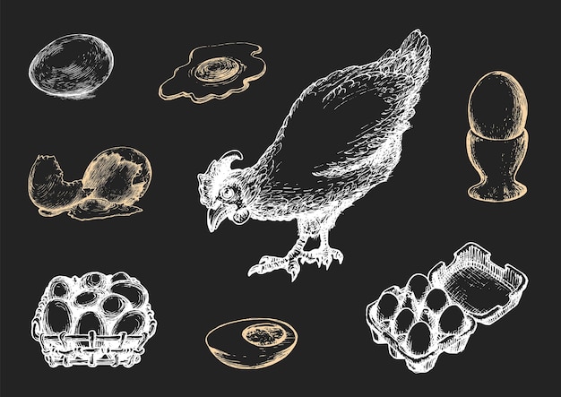 Ilustrações gráficas de produtos de avicultura em vetor conjunto desenhado à mão de produção de galinheiros em estilo de gravura