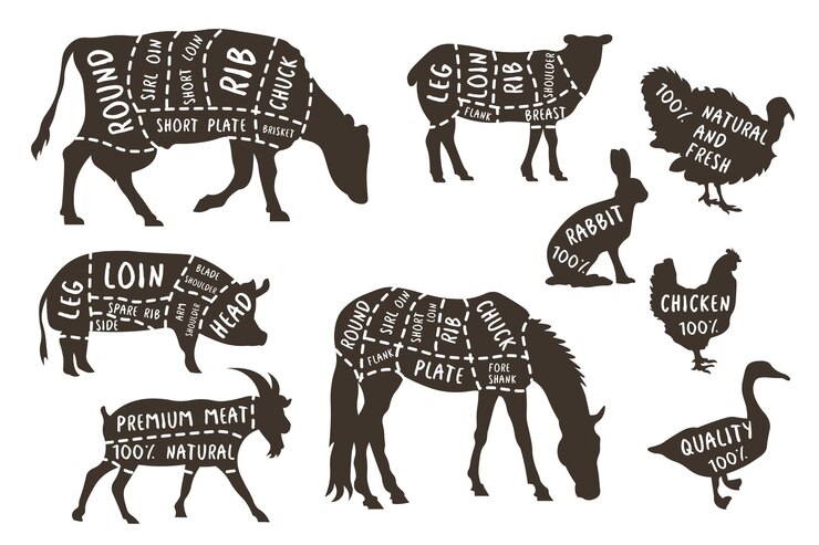 Vetor ilustrações para açougue linhas de corte de diferentes partes de animais domésticos vector açougueiro esquema de diagrama de carne de parte animal coelho e cordeiro gado eps