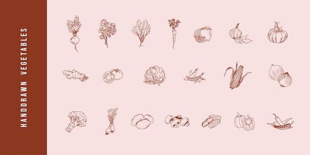 Vetor ilustrações vetoriais de contornos de vegetais desenhadas à mão para entrega de panfletos de cafés e restaurantes