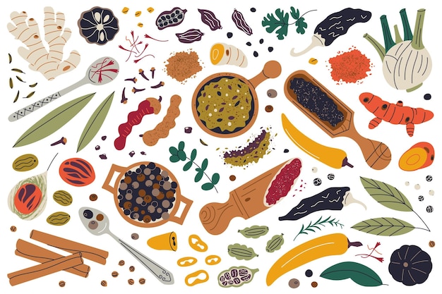 Ilustrações vetoriais de especiarias vibrantes apresentam várias ervas, sementes e condimentos, como gengibre de cúrcuma