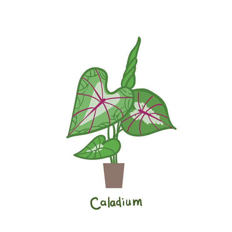 Vetor ilustrações vetoriais de plantas de casa selvas urbanas as plantas são amigas