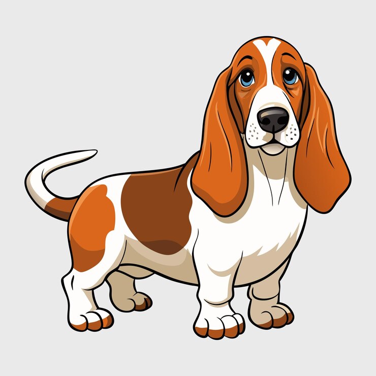 Vetor ilustrações vetoriais de raças de cães basset hounds expressivos