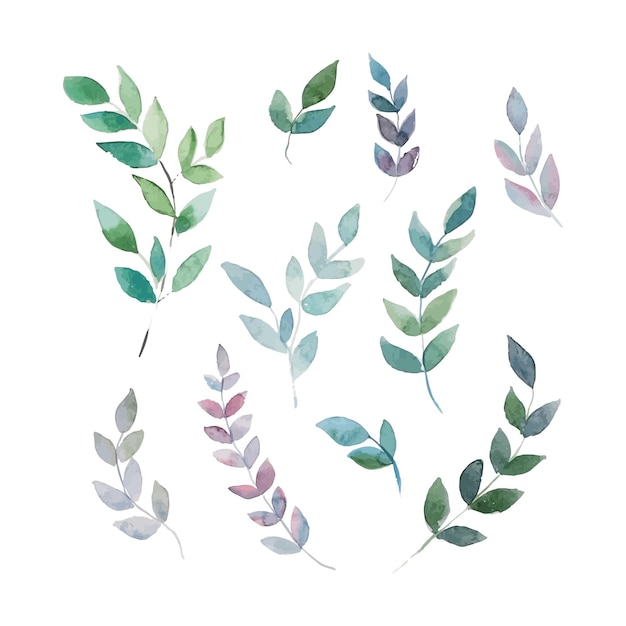 Ilustrações vetoriais em aquarela Clipart botânico Conjunto de galhos e folhas verdes