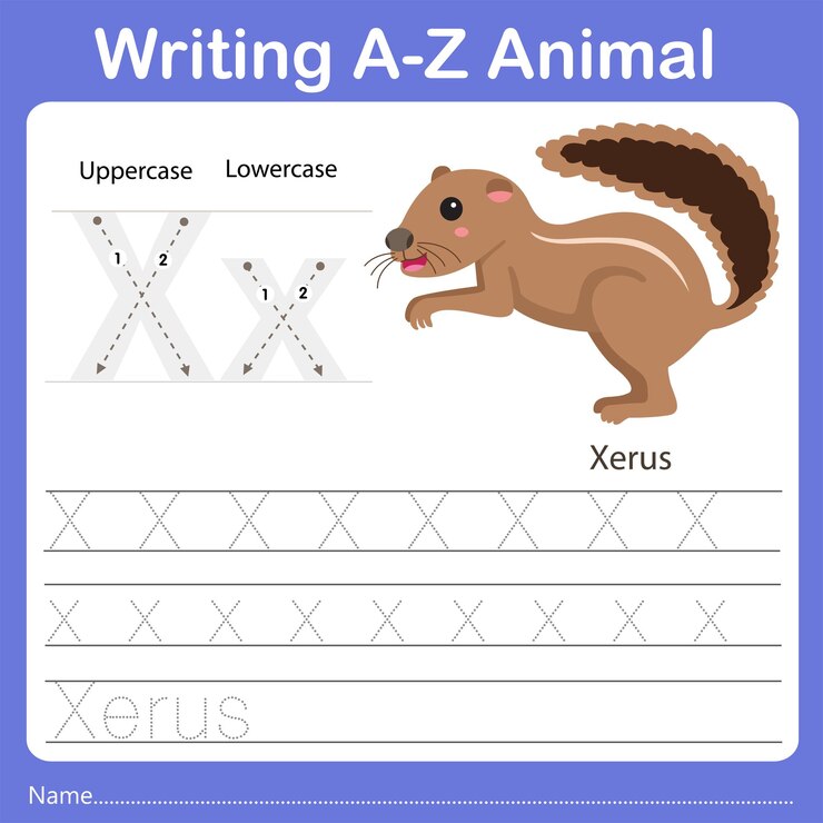 Vetor ilustrador da escrita az animal xerus