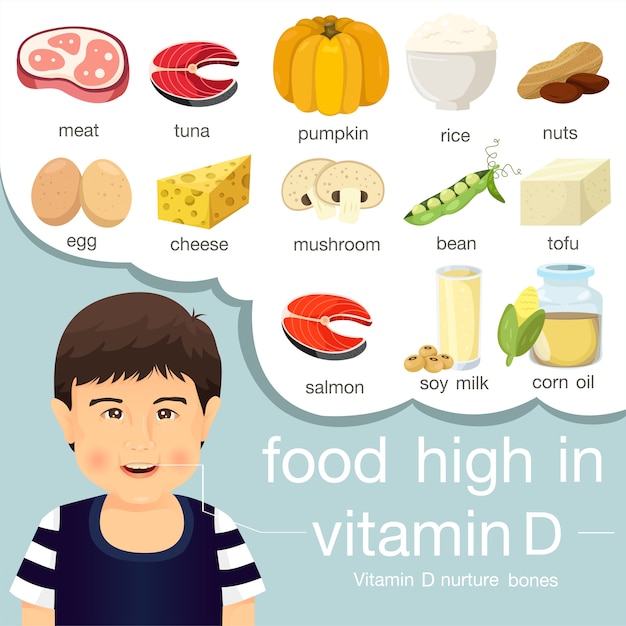 Ilustrador de alimentos ricos em vitamina d