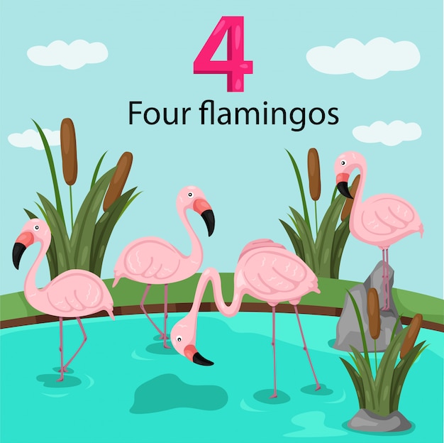 Ilustrador do número quatro com flamingos