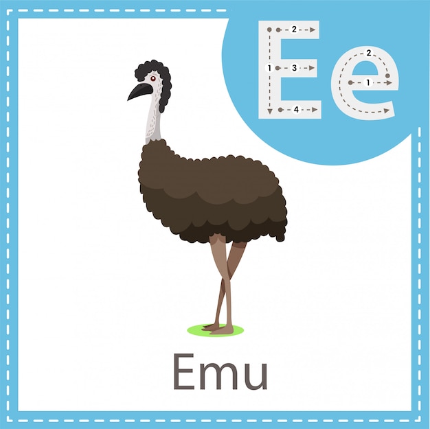 Ilustrador do pássaro emu