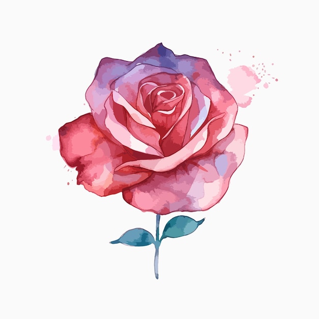 Imagem de aquarela vibrante capturando a essência de uma rosa