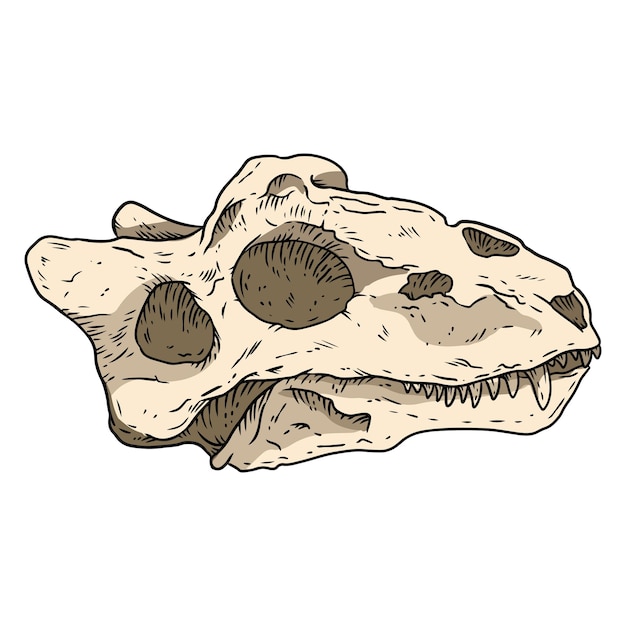 Vetor imagem de esboço desenhado de mão de crânio fossilizado de teriodont. desenho da ilustração fóssil dos ossos da paleontologia. silhueta de contorno de estoque vetorial