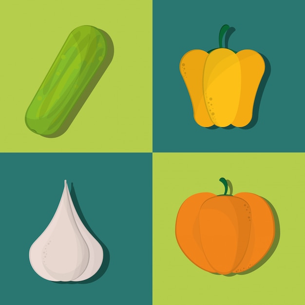 Vetor imagem de ícones de ingredientes alimentares saudáveis
