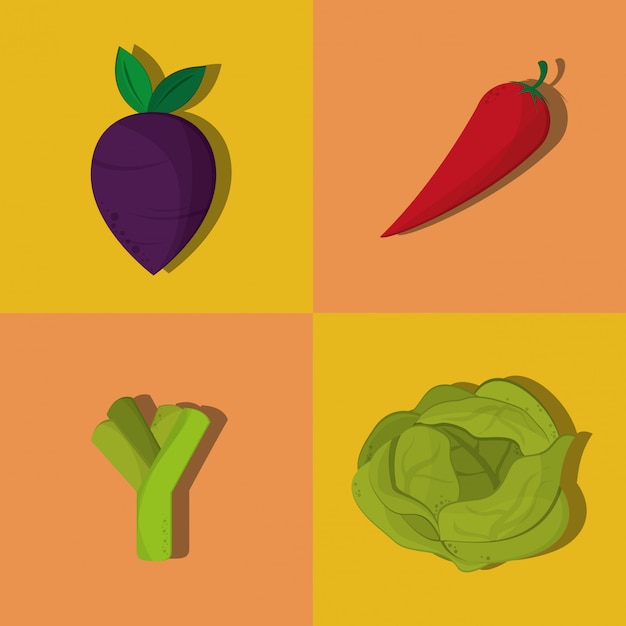 imagem de ícones de ingredientes alimentares saudáveis