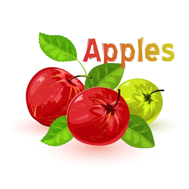 Imagem mostra belas maçãs vermelhas e verdes suculentas com folhas no estilo cartoon de fundo branco