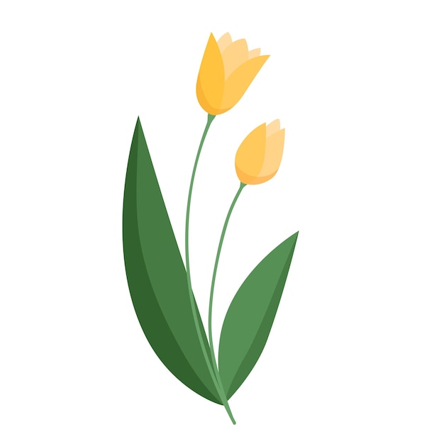 Imagem vetorial de flor de tulipa amarela