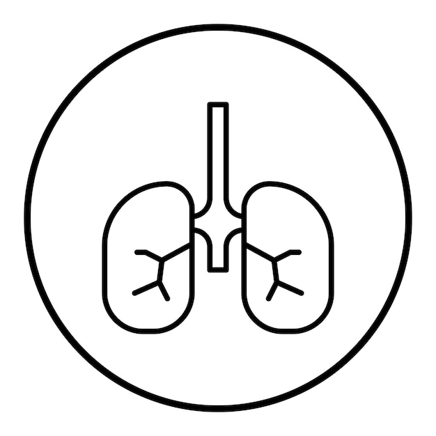 Imagem vetorial de ícone de brônquios pode ser usada para anatomia humana