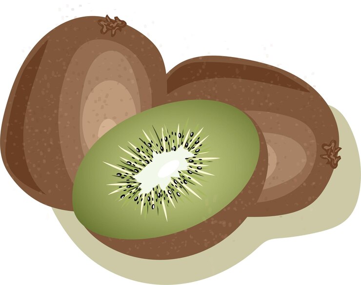 Vetor imagem vetorial de kiwi corte de kiwi três kiwis em um fundo branco
