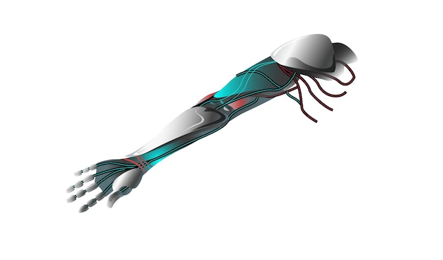 Imagem vetorial de um braço robótico com placas de metal e fios